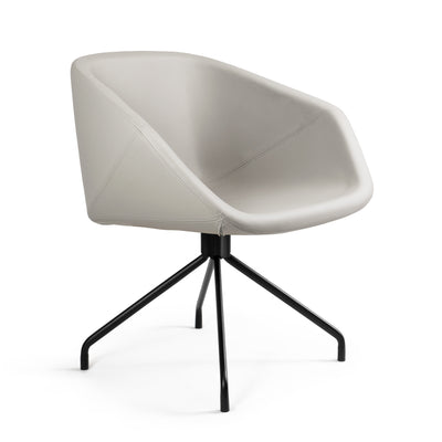 Silla  Pitcher Spider