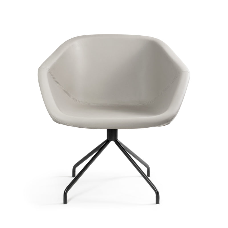 Silla  Pitcher Spider